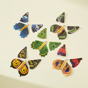 Magic Flying Butterflies (5 Pieces)